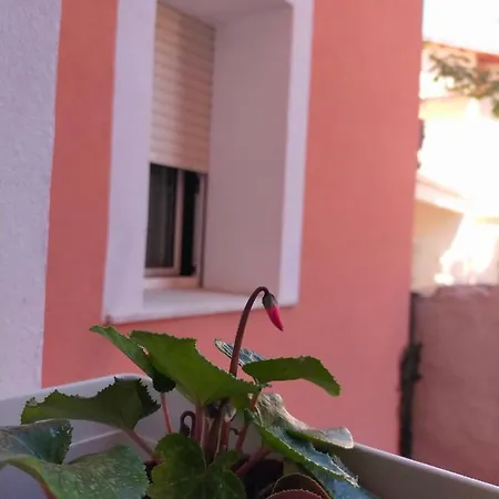 La Casa In Centro A * LʼAquila